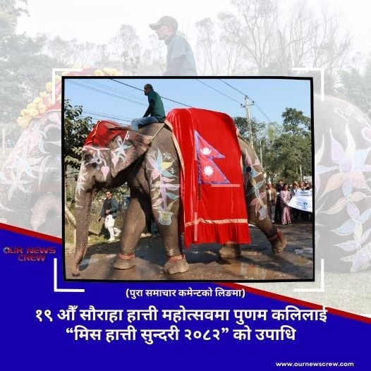 १९ औँ सौराहा हात्ती महोत्सवमा पुणम कलिलाई “मिस हात्ती सुन्दरी २०८२” को उपाधि