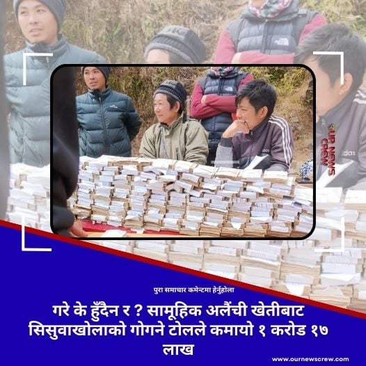 गरे के हुँदैन र ? सामूहिक अलैंची खेतीबाट सिसुवाखोलाको गोगने टोलले कमायो १ करोड १७ लाख