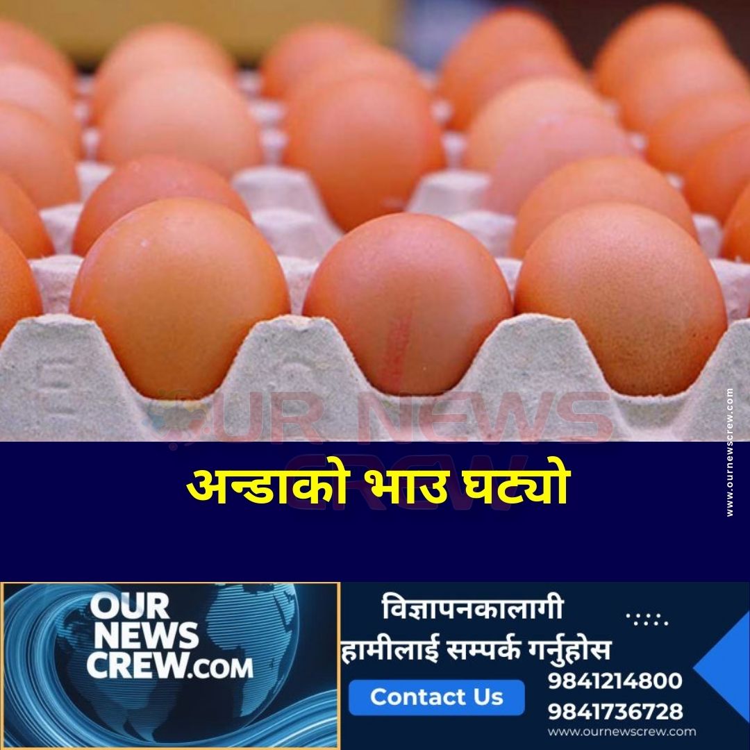 अण्डाको भाउ घट्यो, प्रतिक्रेट कति ?