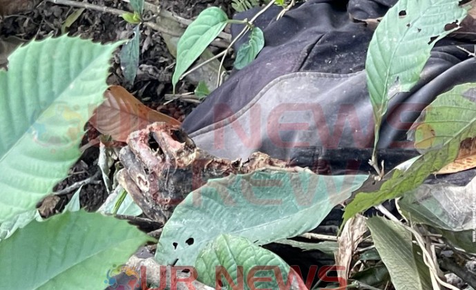 चन्द्रागिरिको जंगलमा मानव कंकाल फेला, अनुसन्धान जारी