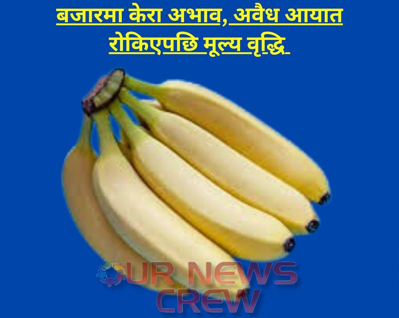 बजारमा केरा अभाव, अवैध आयात रोकिएपछि मूल्य वृद्धि