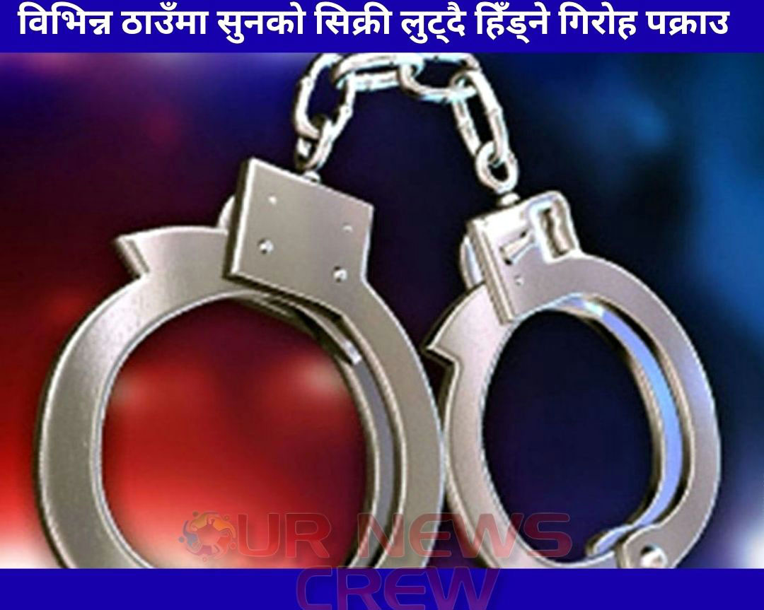 विभिन्न ठाउँमा सुनको सिक्री लुट्दै हिँड्ने गिरोह पक्राउ