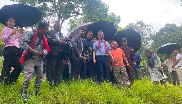 दहचोकमा वृक्षरोपण अभियान, सभामुख अर्यालले रोपे बिरुवा