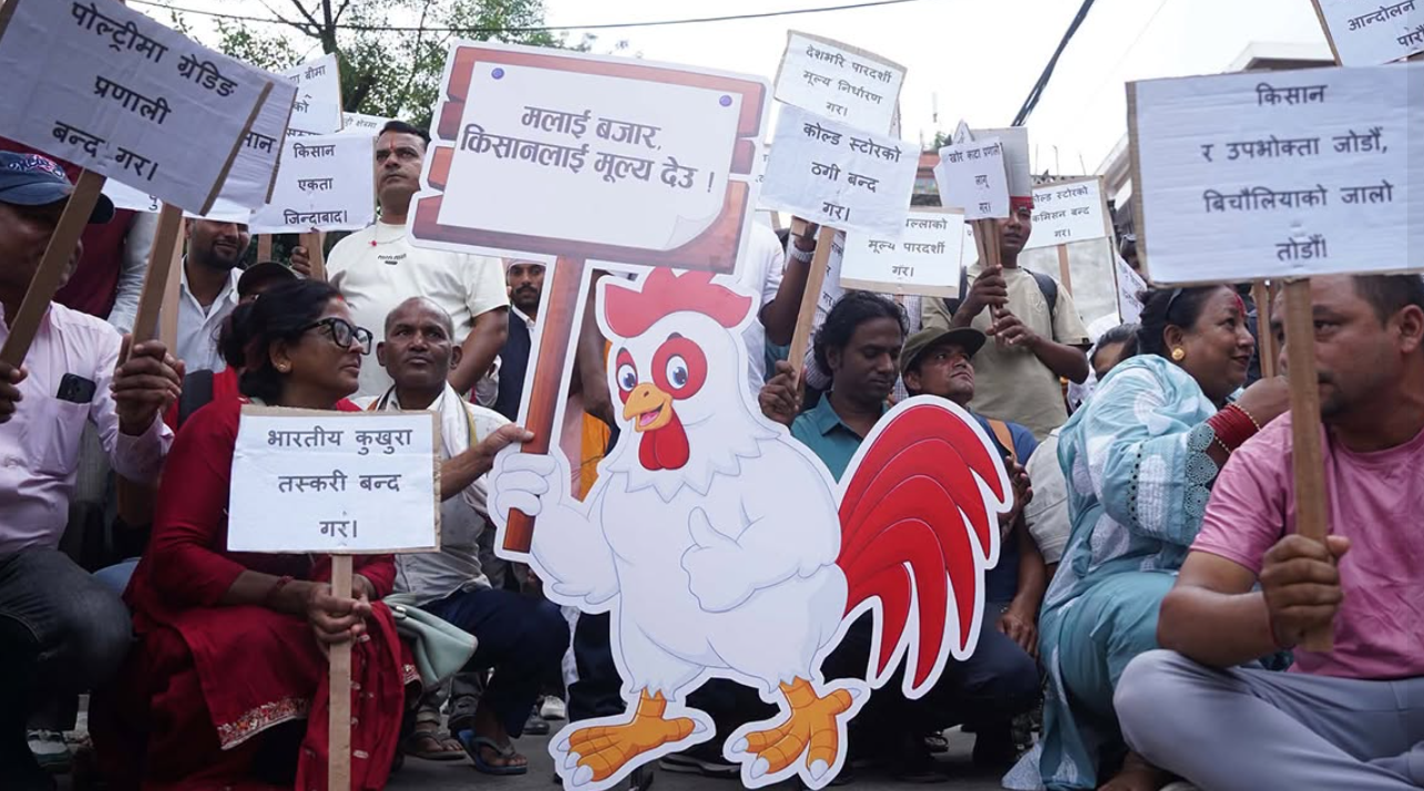 बिचौलियाको जालो तोड्न माग गर्दै माइतीघरमा किसानको हुंकार