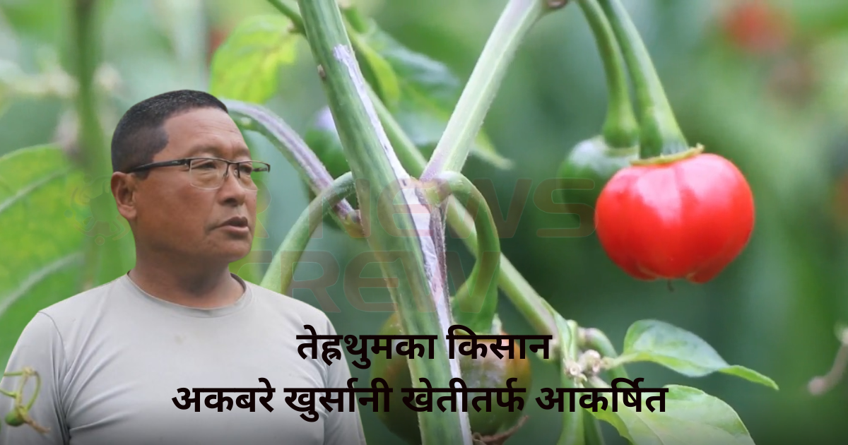 अम्दानीको श्रोत बन्दै अकबरे