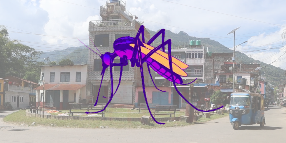 बागलुङमा डेङ्गु संक्रमितको संख्या एक हजार ८३५ पुग्यो